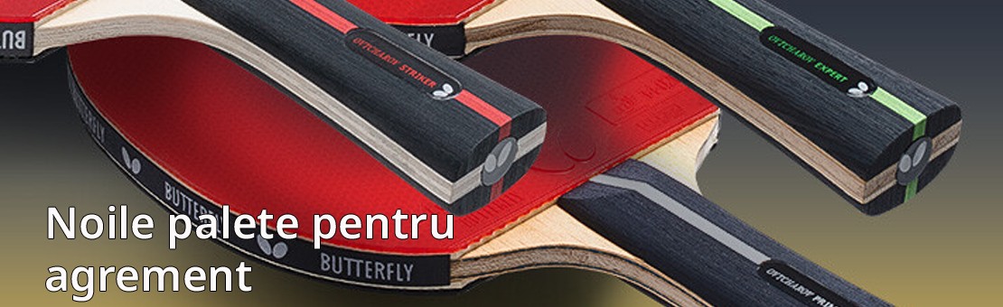 Palete pentru agrement